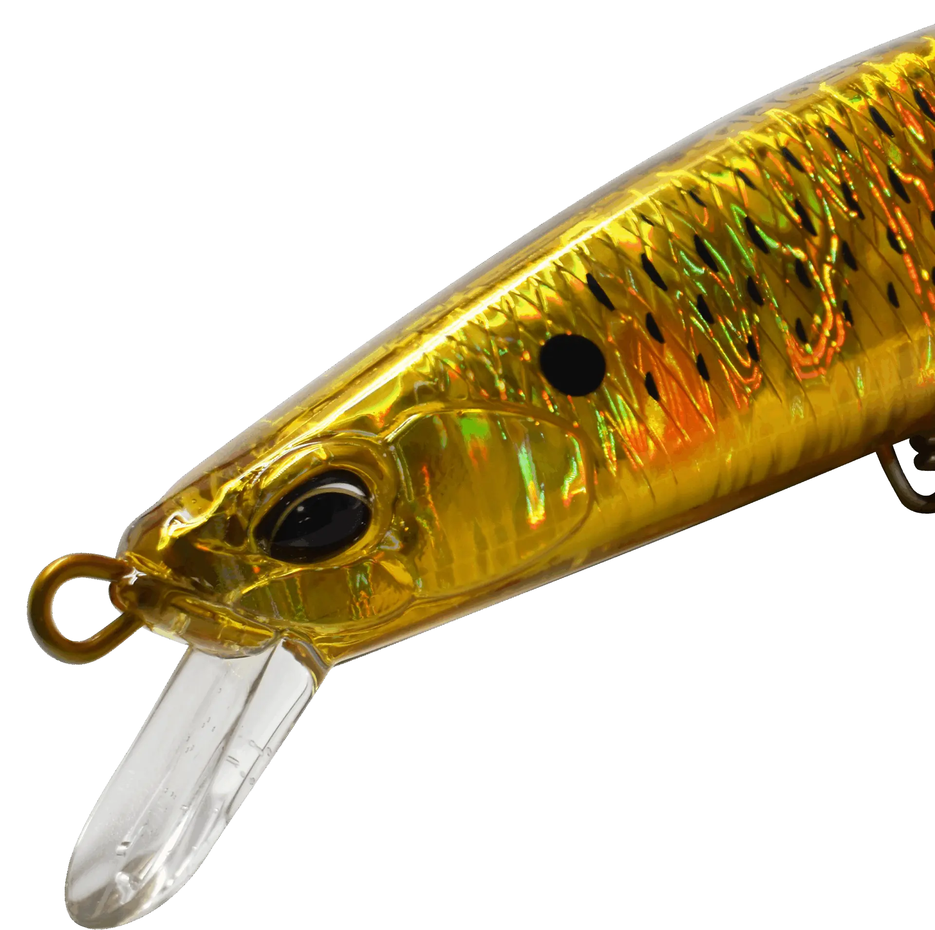 tide minnow ghost closeup