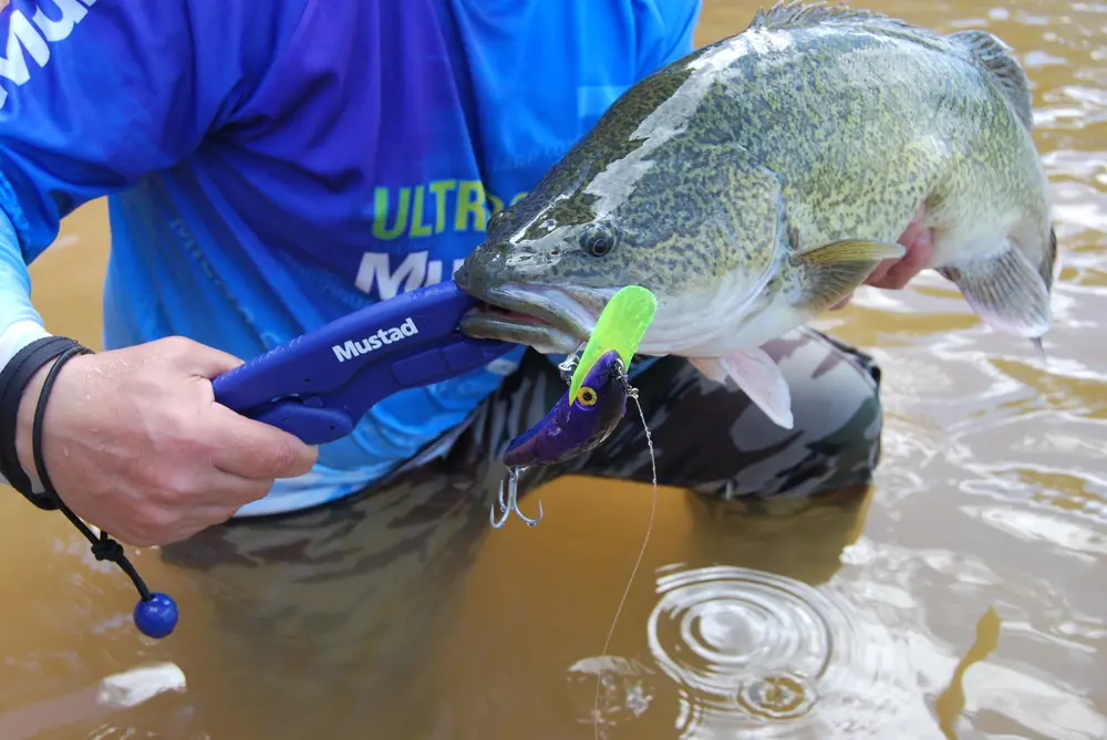 Bigger lures can tolerate heavier and stronger hooks. This StumpJumper accepts the Mustad Saltism 4x strong hooks easily and pins fish without any worry at all.