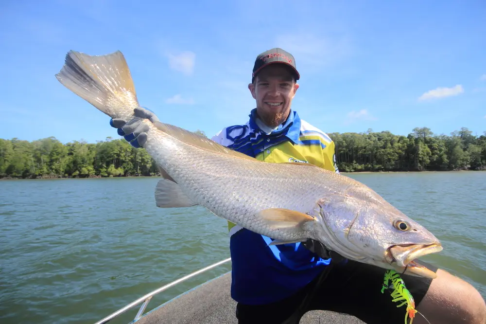 The Live Cherabin provides a larger profile and is a sensational lure to use up north where big black jew like this are found.