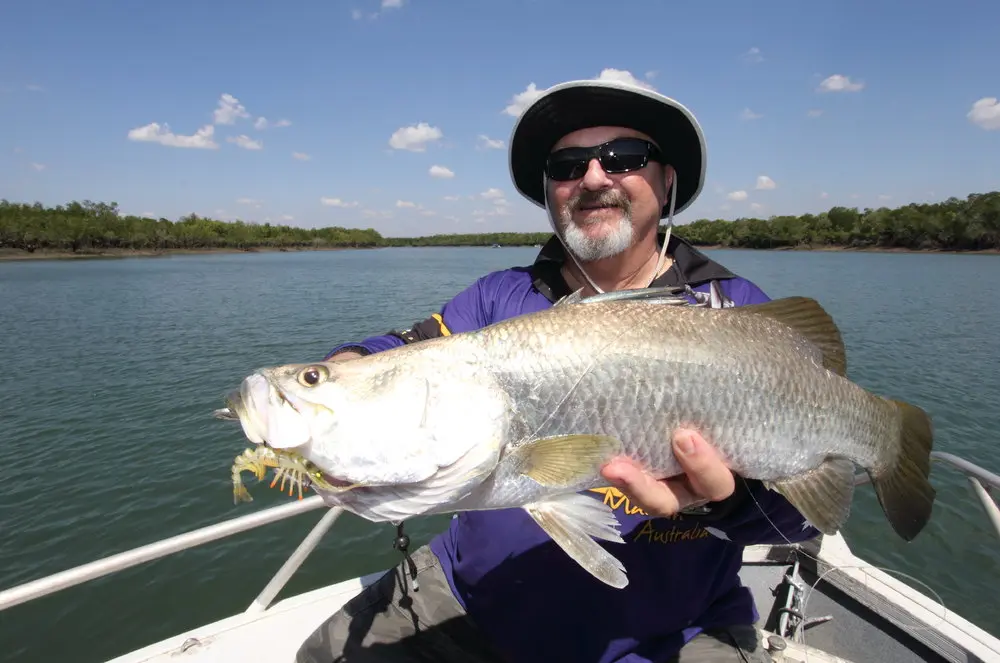Paul Kanafa with a fairly typical saltwater barra. They just love the Live Shrimp Hot Legs.