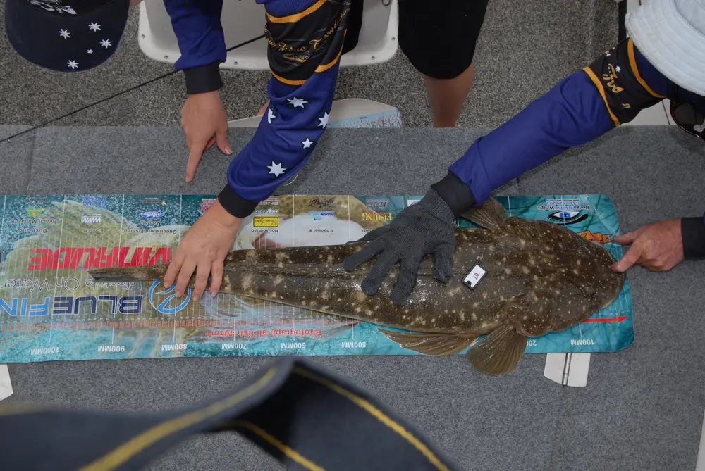 Now that's a serious fish for Team Wilson's Rob Payne.