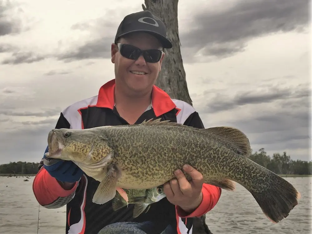 62cm of Mulwala cod for Banksy on Day 1. Venom CrankBait PE 2-4 the preferred weapon.