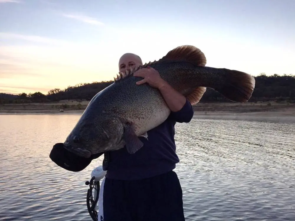 full 624 ayccopetoncodclassic 4