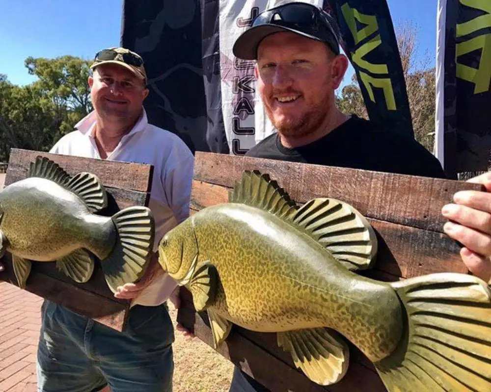 full 625 ayccopetoncodclassic 5