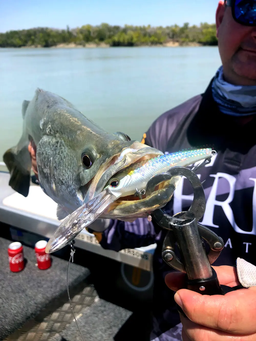 89mm Tango Shad Barra