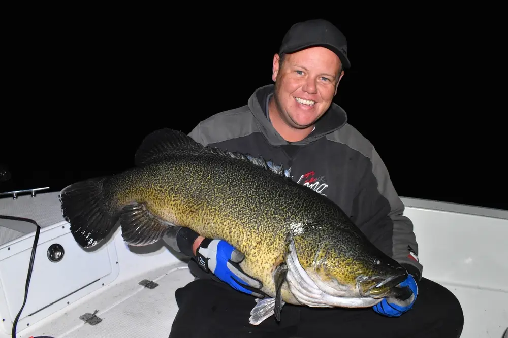 full 877 ayccopetoncodclassic 1