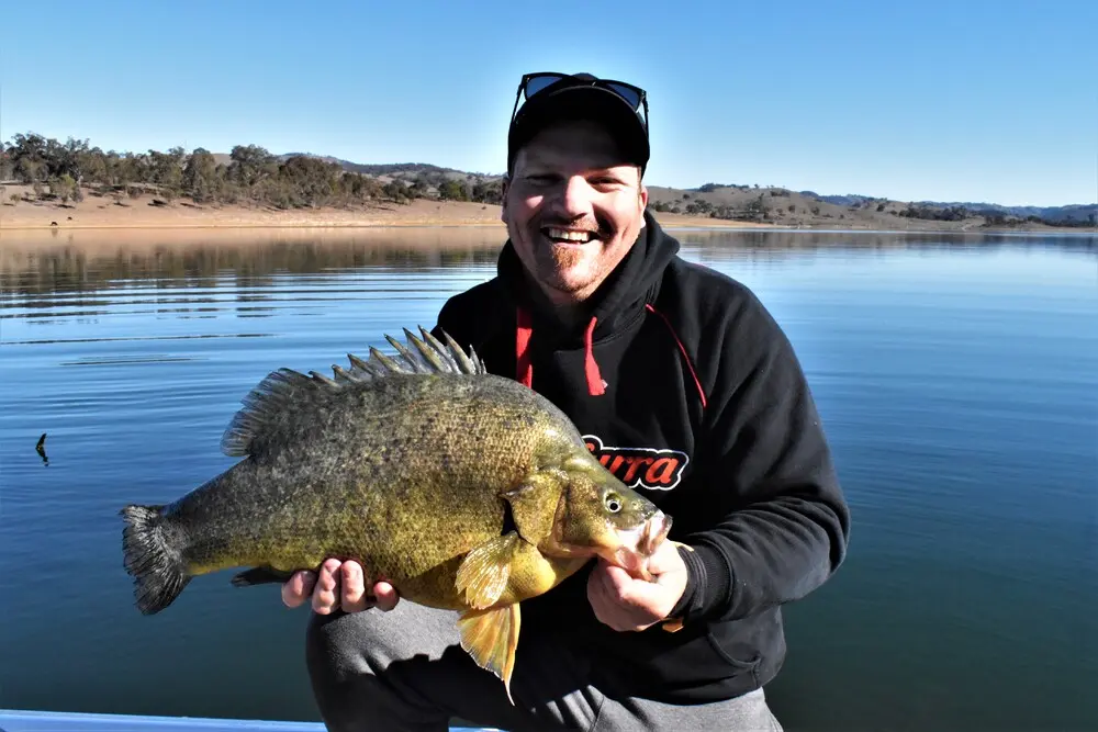 full 909 catchinggoldenperchonzerekfishtrap95 4