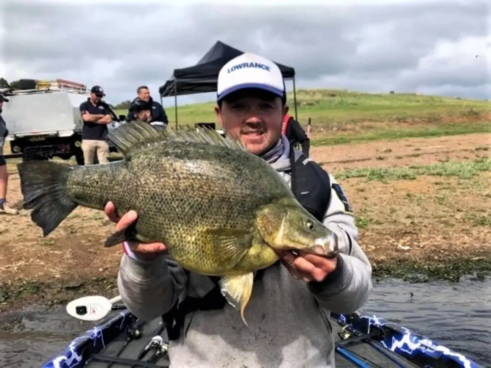 full 910 catchinggoldenperchonzerekfishtrap95 5