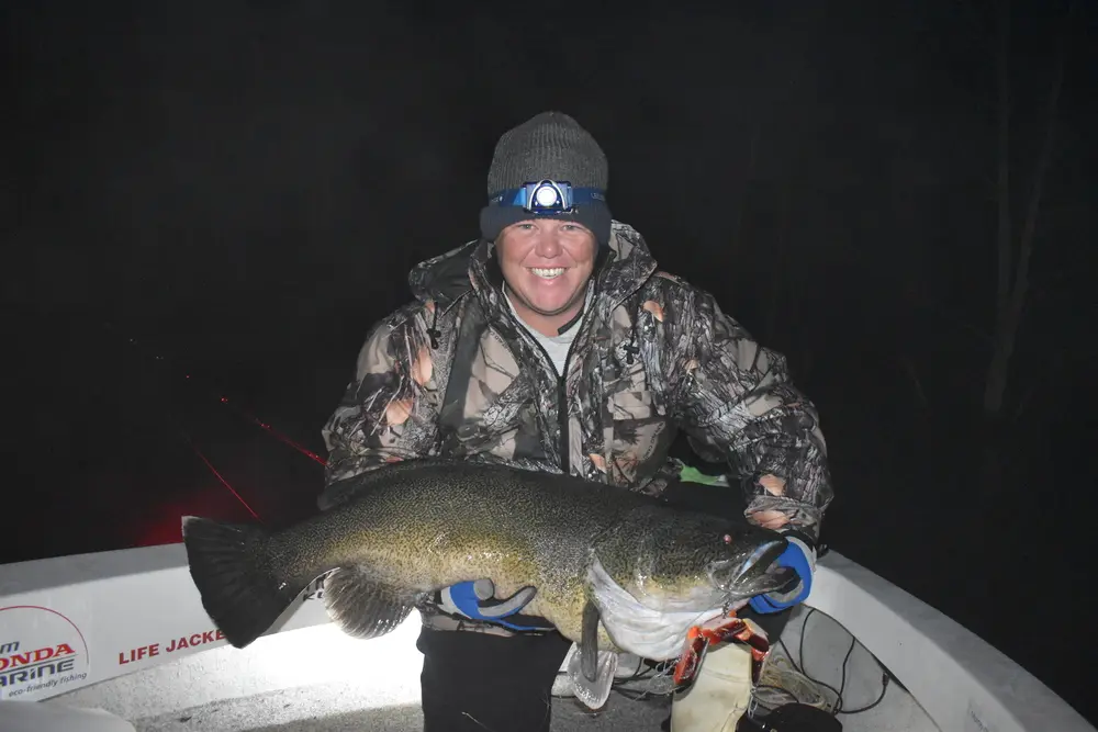 We all get caught up chasing that meter mark at some stage. Shane Banks got ever so close with this 99.9cm cod that ate a snake lure as it rattled off a granite boulder and fell into the water from a very ordinary cast.