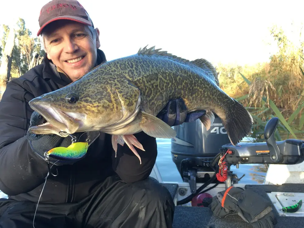 This pic shows the soft office boy using the Mustad Fish Handling gloves and my Simms fishing gloves sitting beside me â€“ taken off so they stay dry and undamaged and ready to get back on my hands to keep them warm.
