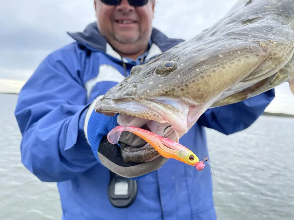 Fat Betty Flat Shad - not the first horse this lure has tempted