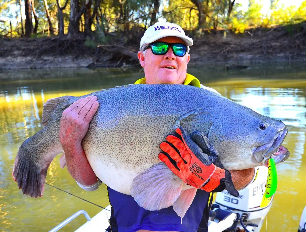 The 8kg Venom Baitcaster has all the punch needed to pull big fish from the timber.
