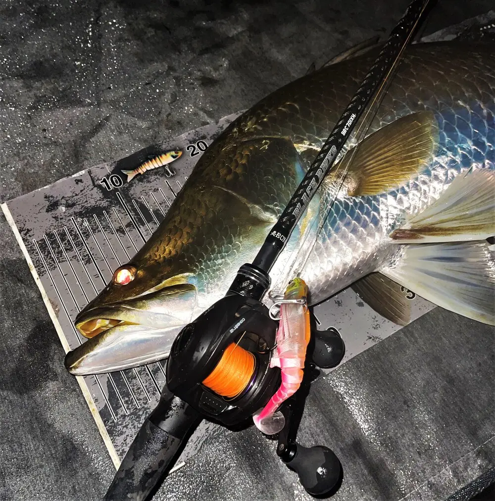 The Bone Black River 701XH and ATC Combat V2 were fantastic for throwing the 130mm Flat Shad X.