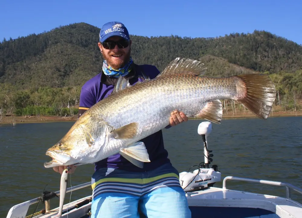Jono CLark with a 120cm+ beast taken on the 9 inch Zerek Flat Shad during the 2015 BARRA Tour.