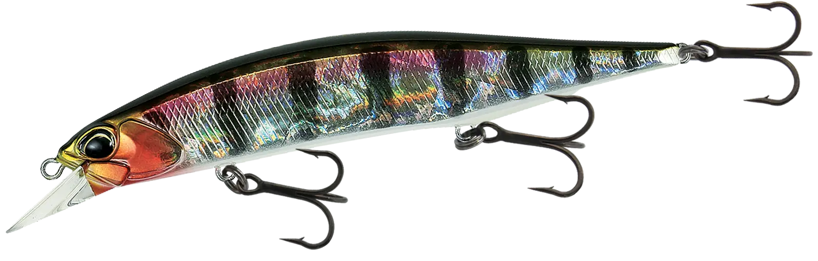 drj120fpg
