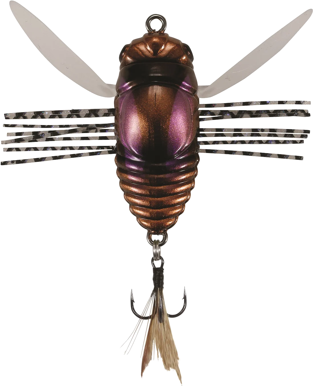 drsmb beetle