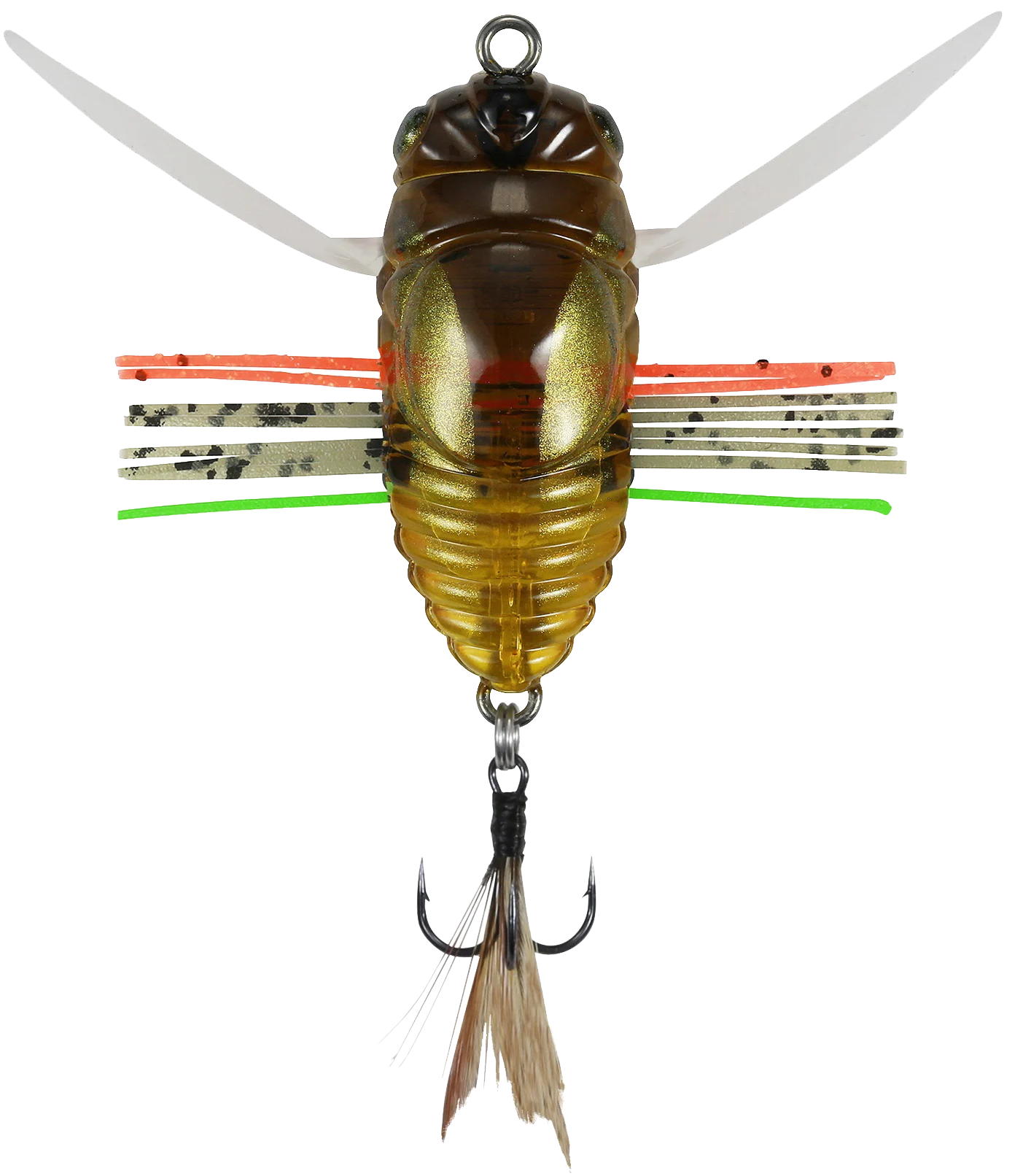 drsmcc cool cicada