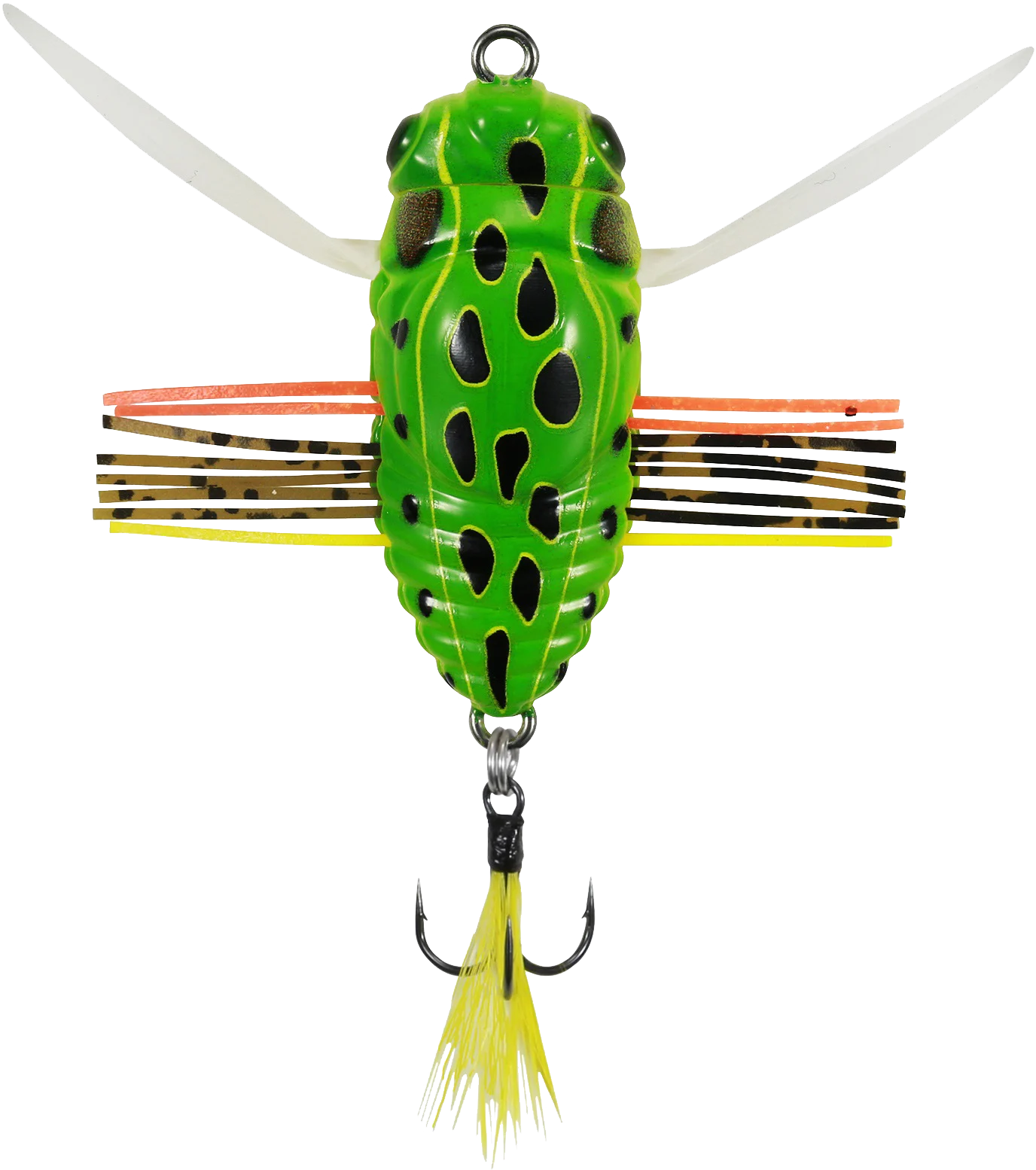 drsmf frogster