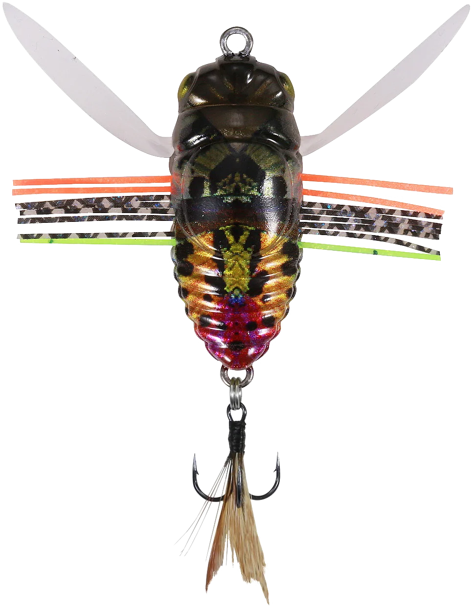 drsmsm sunset moth