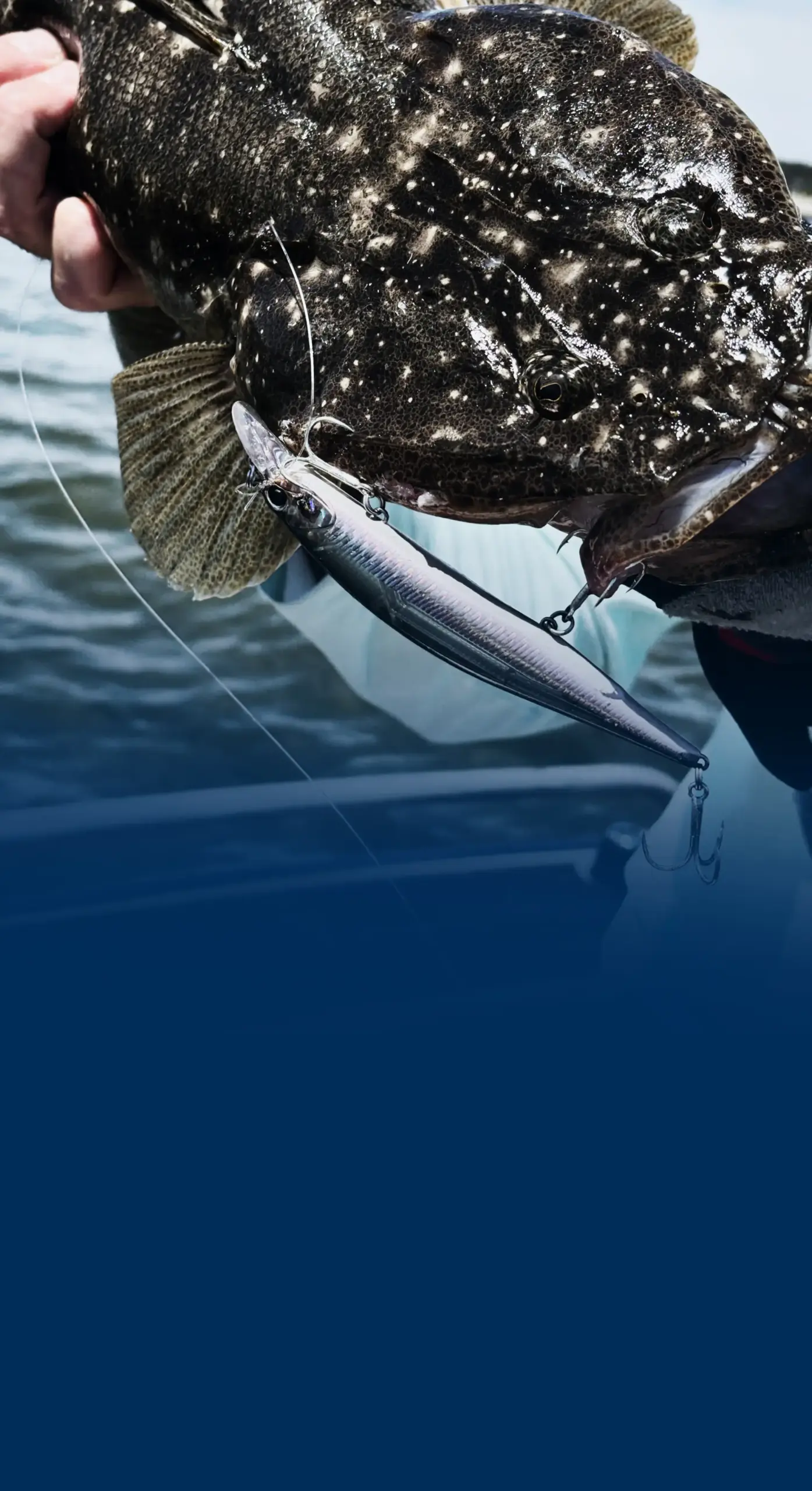jerkbait advert bg