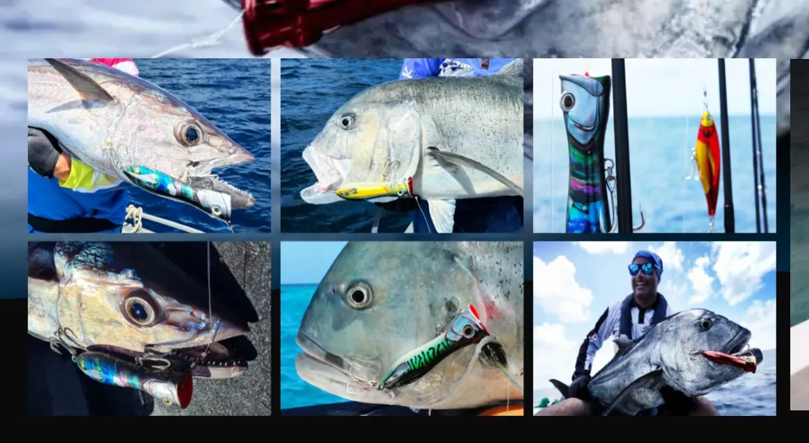 v pop image viewer thumbnail