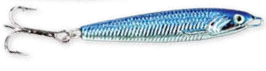 309sj20b