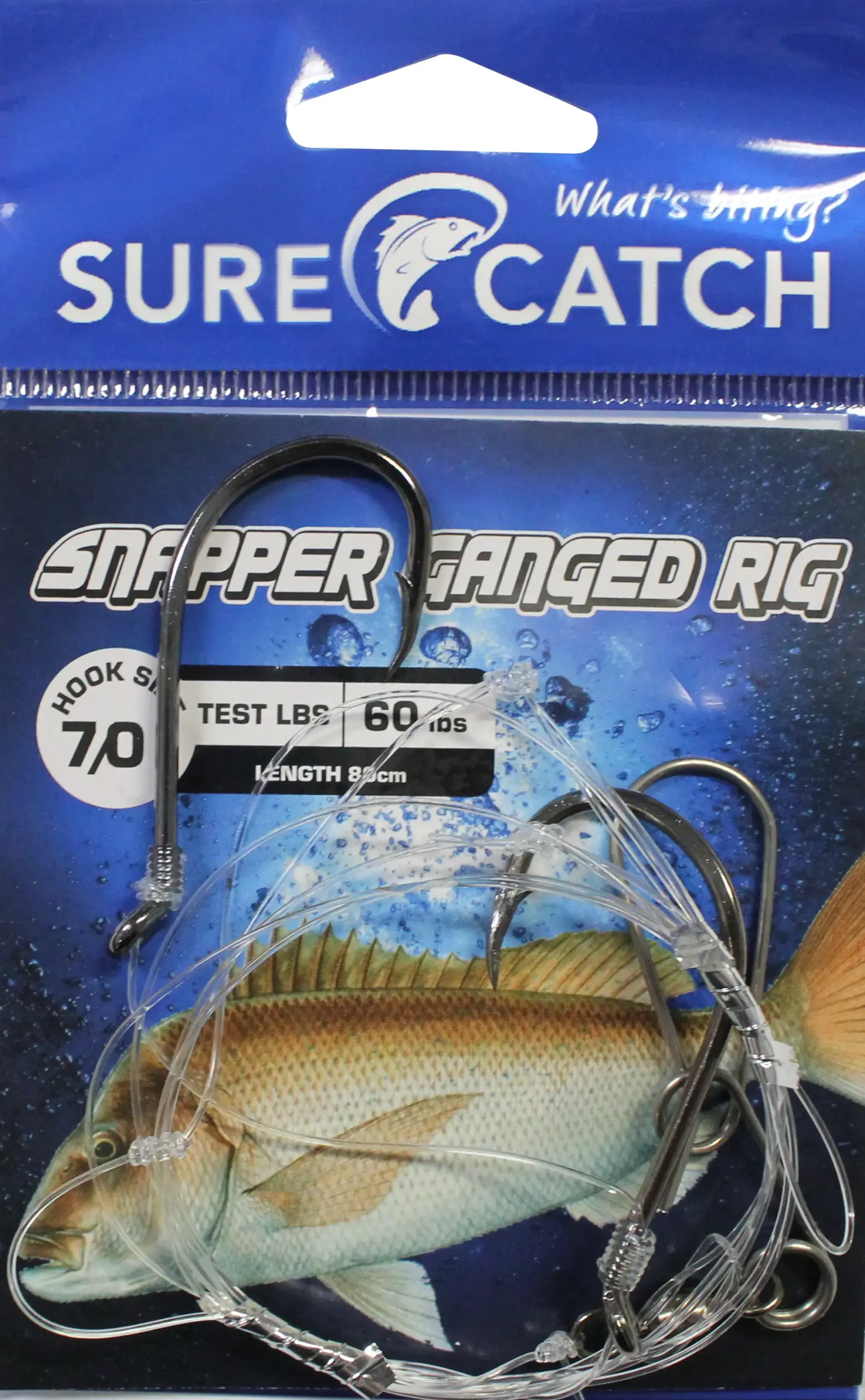 691sgr702