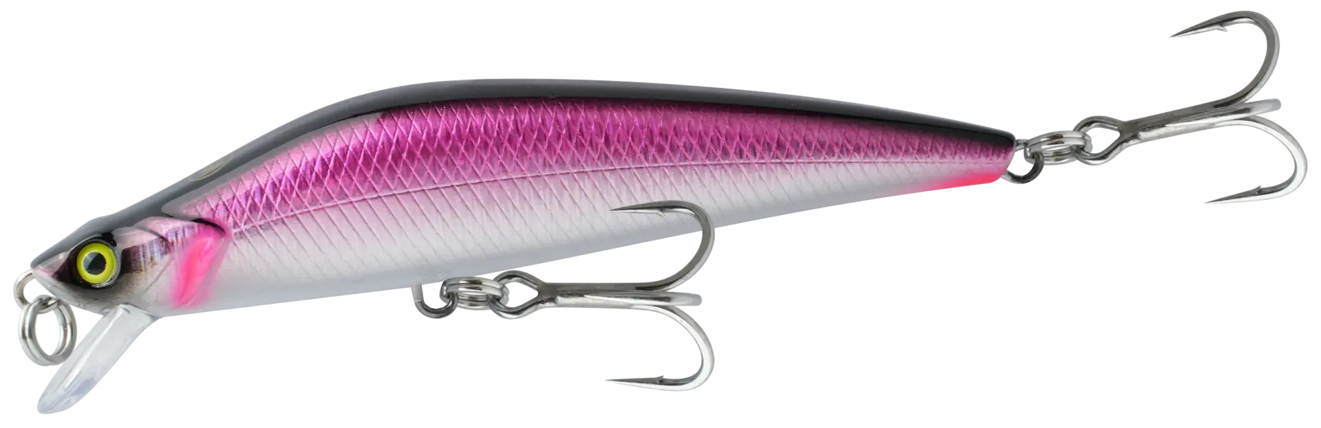 wlbx100pur