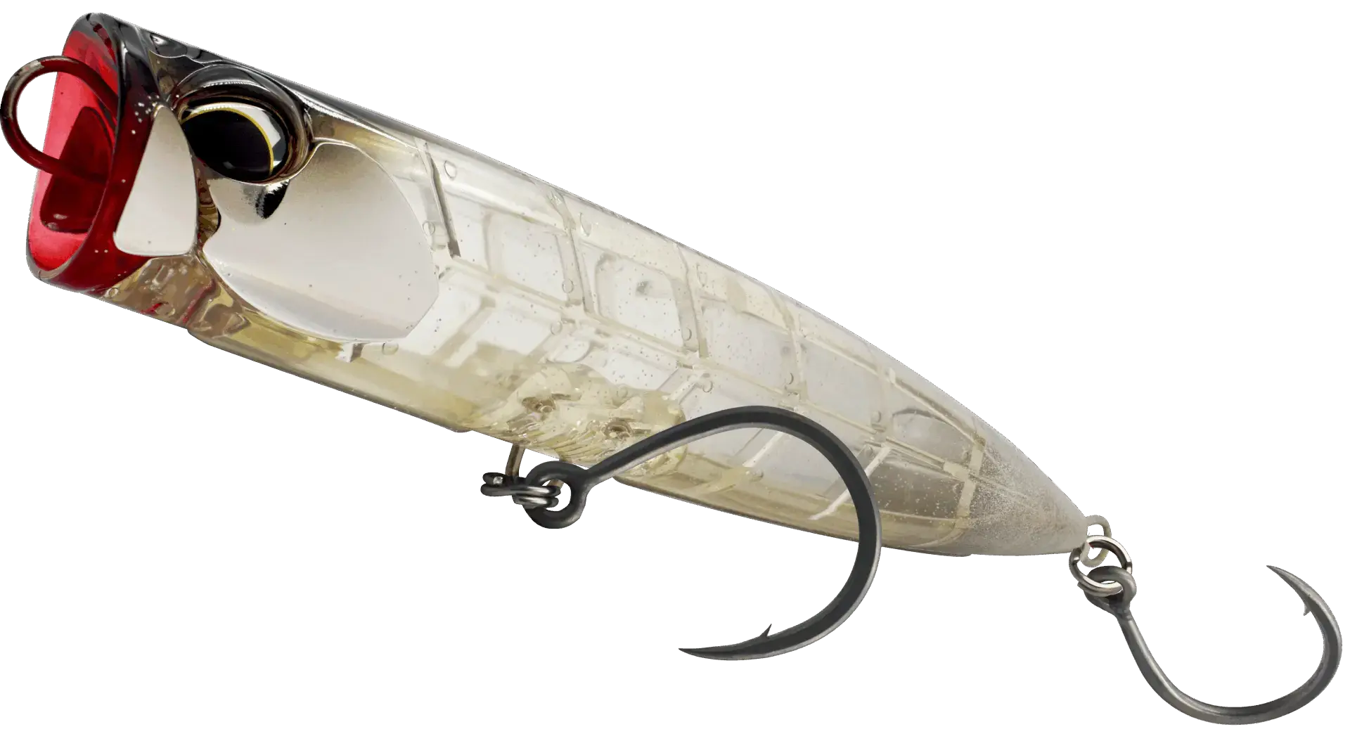 dbub1855