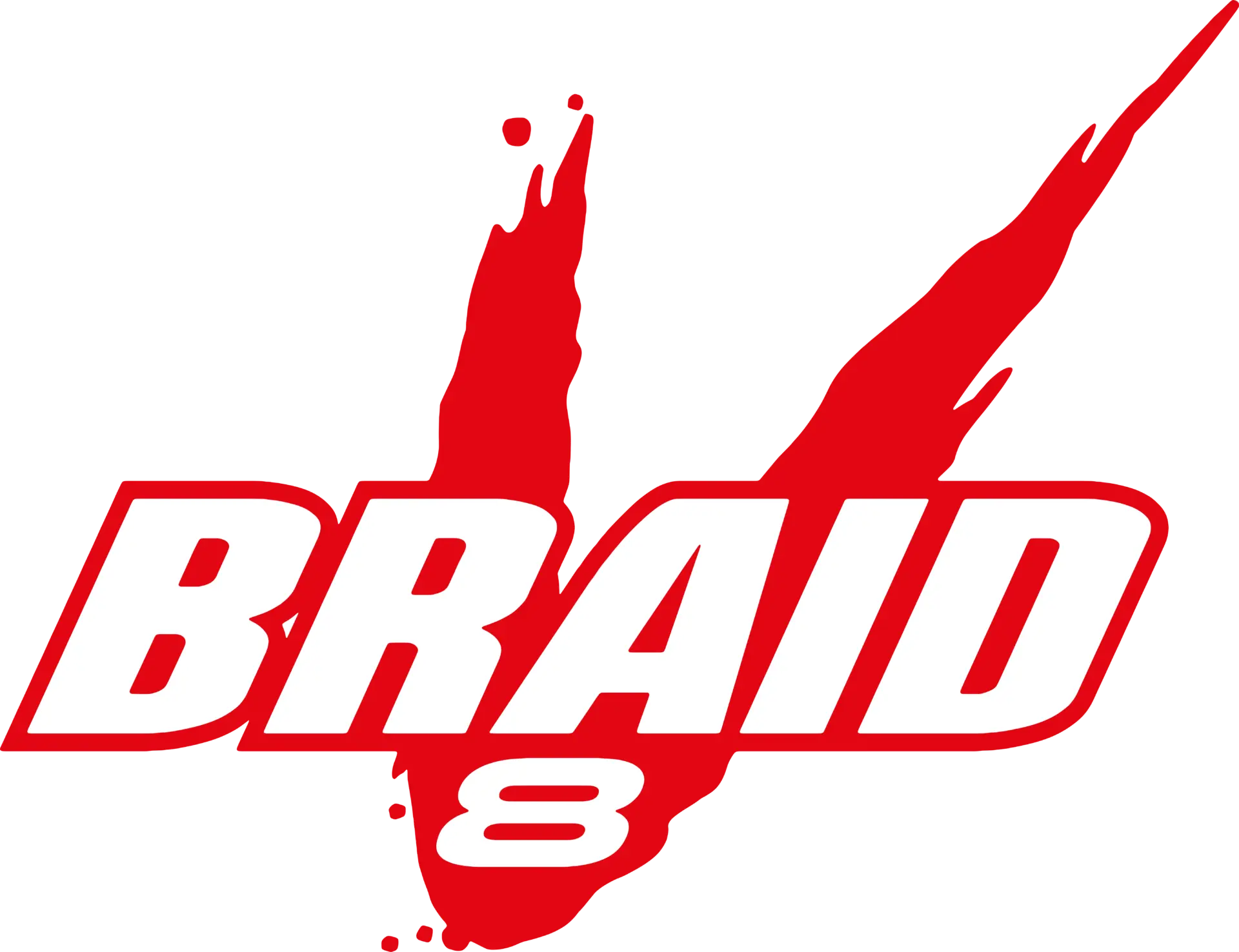 v braid logo