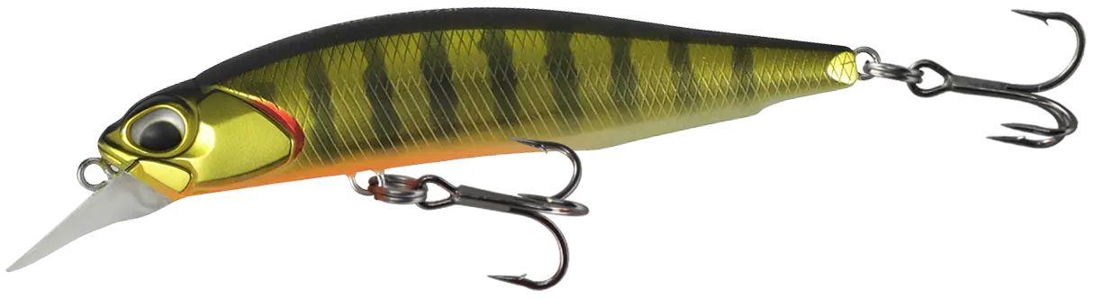 drr77spgp
