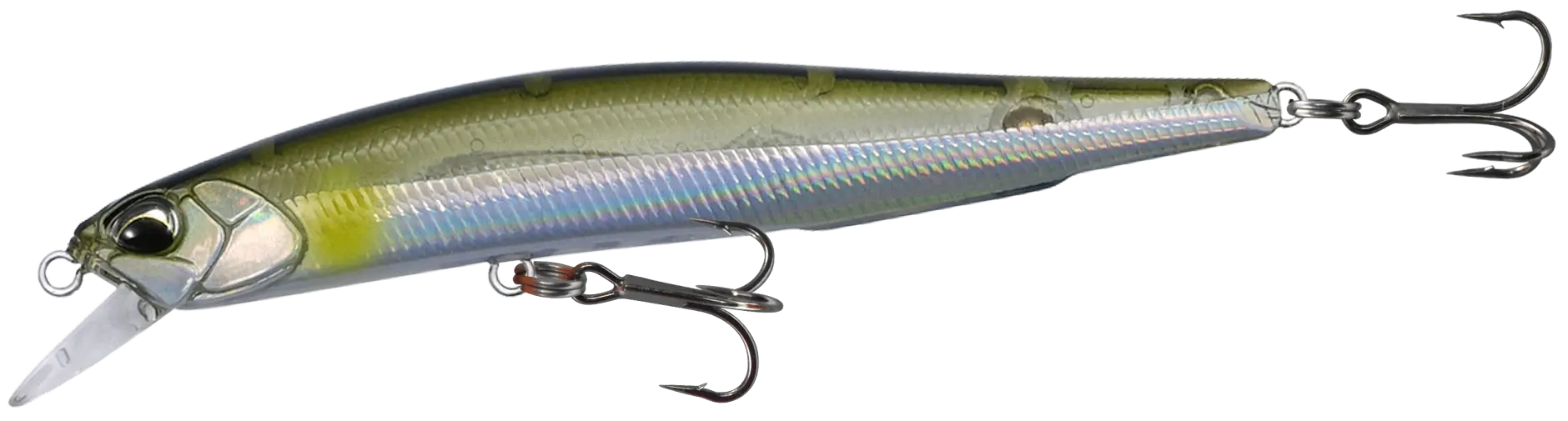 drm80spaam